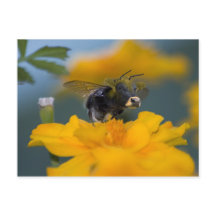 バンブローはがき