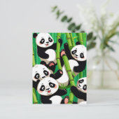 バンブーパンダ ポストカード (スタンド正面)