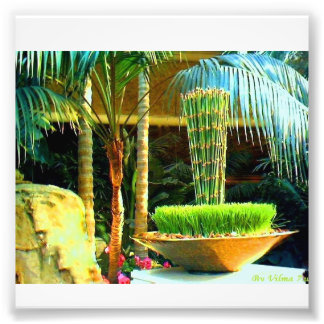 バンブ中国のー フォトプリント           