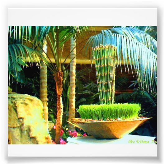 バンブ中国のー フォトプリント            (正面)