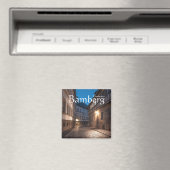 バンベルグドイツマグネット マグネット (インサイチュ (食洗機))