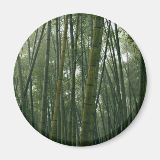 バンボース マグネット (正面)