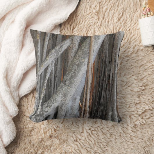 バンヤンの木を通して見る クッション (ブランケット)