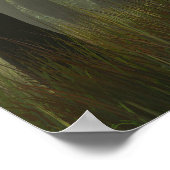 バンヤンの栄光 ポスター (角)