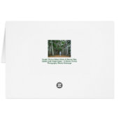 バンヤンツリーエジソン&フォードエステートFtマイヤーズフロリダ (裏面横)