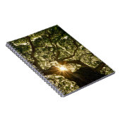 バンヤンツリーキャノピーサンスター ノートブック (右側)