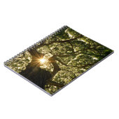 バンヤンツリーキャノピーサンスター ノートブック (左側)