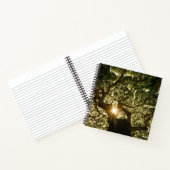 バンヤンツリーキャノピーサンスター ノートブック (内部)