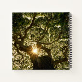 バンヤンツリーキャノピーサンスター ノートブック (裏面)