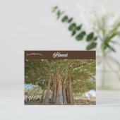 バンヤンツリークイーンズビーチインホノルルオアフハワイ ポストカード (スタンド正面)