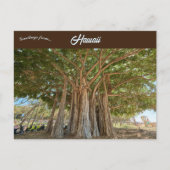 バンヤンツリークイーンズビーチインホノルルオアフハワイ ポストカード (正面)