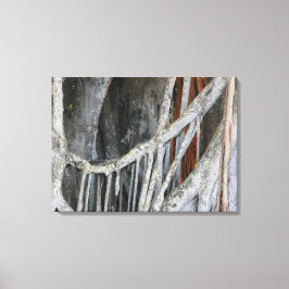 バンヤンツリークローズアップ写真 キャンバスプリント