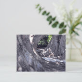 バンヤンツリーズ ポストカード (スタンド正面)