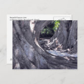 バンヤンツリーズ ポストカード (正面/裏面)