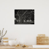 バンヤンツリールート構造 ポスター (キッチン)