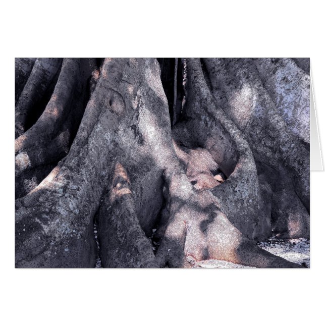 バンヤンツリー (正面横)