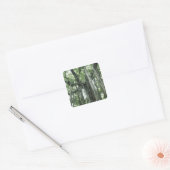 バンヤンツリー スクエアシール (封筒)