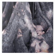 バンヤンツリー