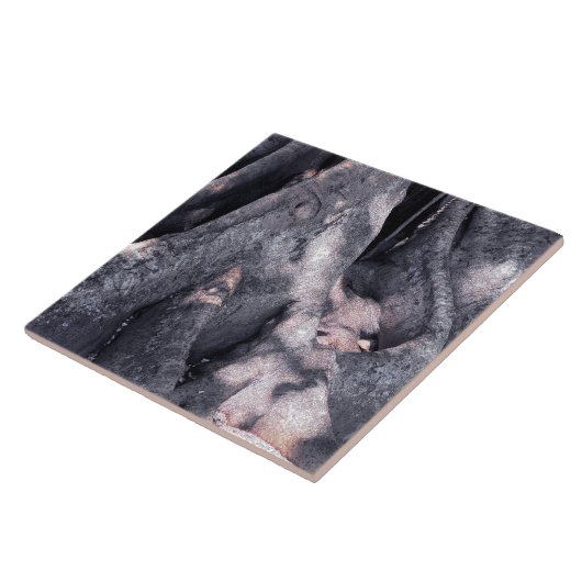 バンヤンツリー タイル (側面)