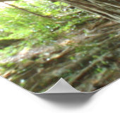 バンヤンツリー ポスター (角)