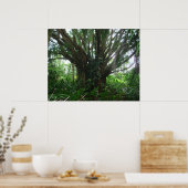 バンヤンツリー ポスター (キッチン)