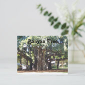 バンヤンツリー ポストカード (スタンド正面)