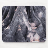 バンヤンツリー マウスパッド (正面)