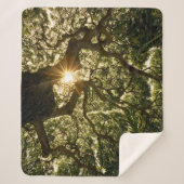 バンヤンノキのおおいSunstar シェルパブランケット (正面)