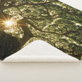 バンヤンノキのおおいSunstar シェルパブランケット (3/4)