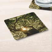 バンヤンノキのおおいSunstar スクエアペーパーコースター (アングル)