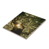 バンヤンノキのおおいSunstar タイル (側面)