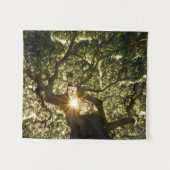 バンヤンノキのおおいSunstar タペストリー (正面(横))