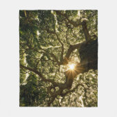 バンヤンノキのおおいSunstar フリースブランケット (正面)