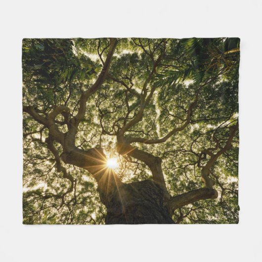 バンヤンノキのおおいSunstar フリースブランケット (正面(横))
