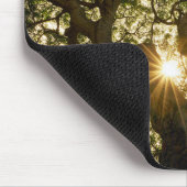 バンヤンノキのおおいSunstar マウスパッド (コーナー)