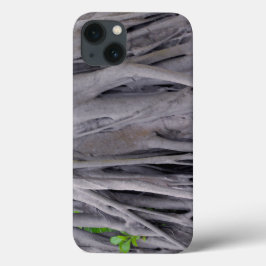 バンヤンノキのトランク iPhone 13ケース
