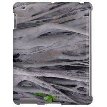 バンヤンノキのトランク