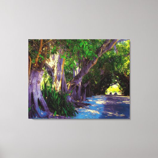 バンヤン通り キャンバスプリント (正面)