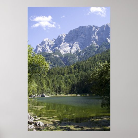 バヴァリアドイツプリント ポスター (正面)