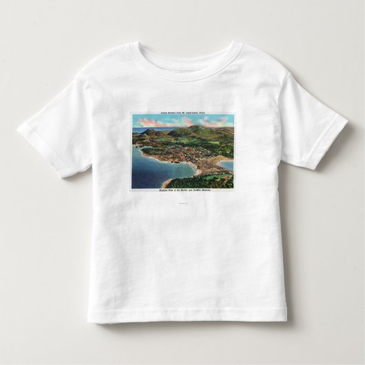 バーの港およびキャデラックの空中写真 トドラーTシャツ (正面)