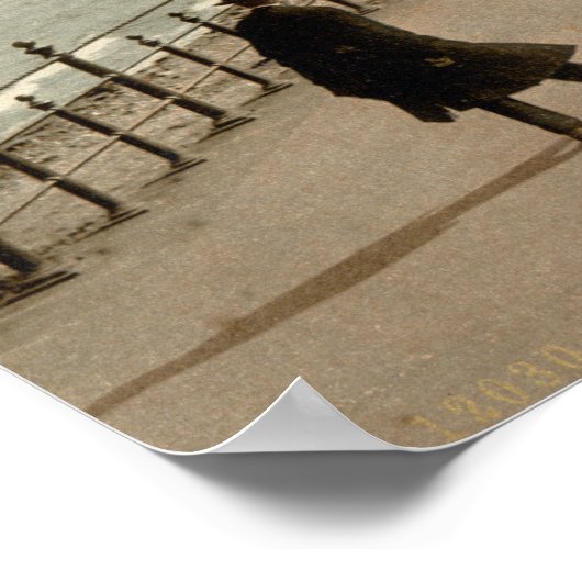 バーイII、郡ウィクロー ポスター (角)