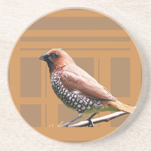 バーウェアおよびバーツール> Coasters コースター (正面)