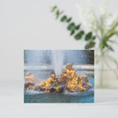 バーカス噴水ベルサイユ宮殿の庭園 ポストカード (スタンド正面)