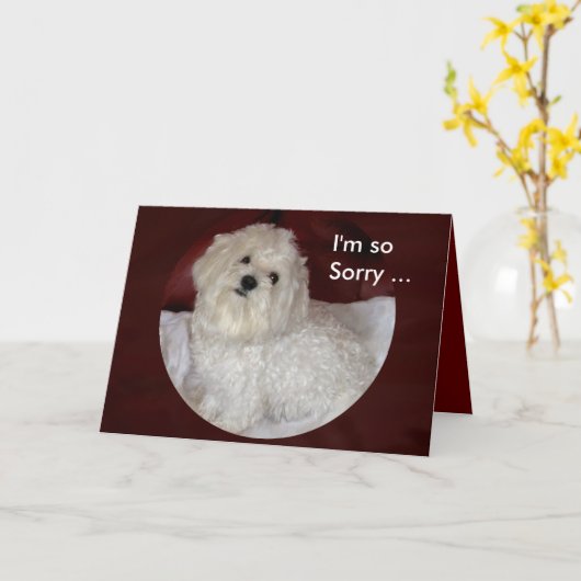 バーガンディおよび白のマルタの悔やみや弔慰カード カード (黄色い花)