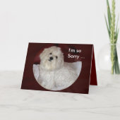 バーガンディおよび白のマルタの悔やみや弔慰カード カード (正面)