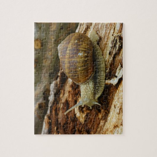 バーガンディのローマの食用カタツムリの螺旋形Pomatia ジグソーパズル (縦)