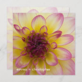 バーガンディの、黄色及び白いダリア セーブザデート (正面/裏面)