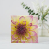 バーガンディの、黄色及び白いダリア セーブザデート (スタンド正面)