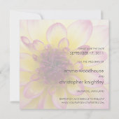 バーガンディの、黄色及び白いダリア セーブザデート (裏面)