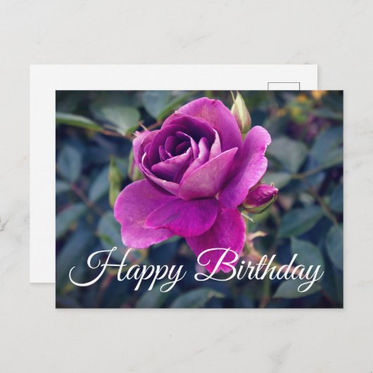 バーガンディアイスバーグローズ#2の誕生日おめでとうポストカード ポストカード (正面/裏面)